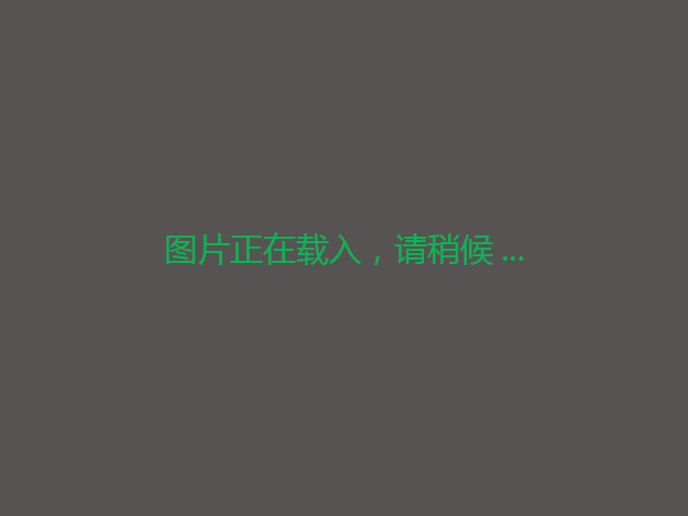江门新会会城街道约2亩自有柑园果园转让，约200多棵圈枝树，树龄5年